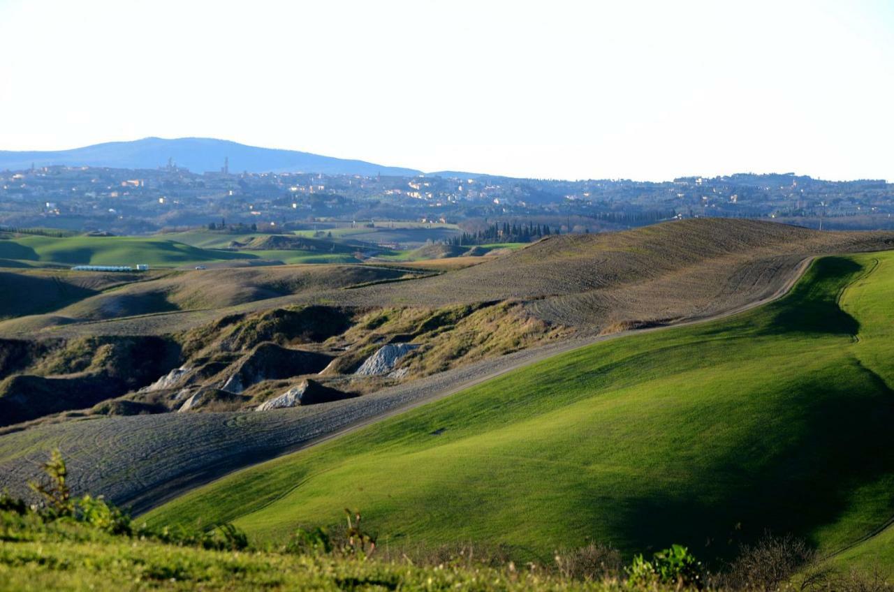 Podere Il Granaio - Crete Senesi - Tuscany Siena Luaran gambar