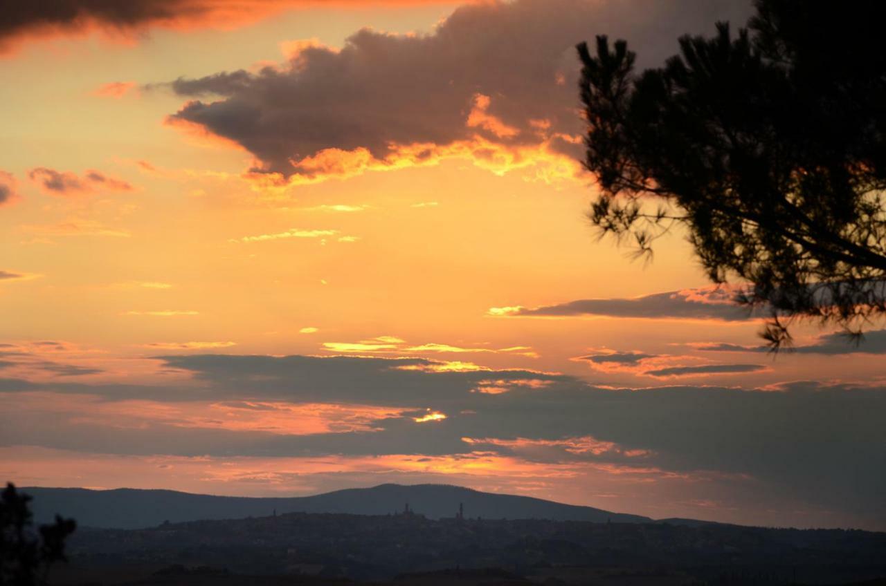 Podere Il Granaio - Crete Senesi - Tuscany Siena Luaran gambar