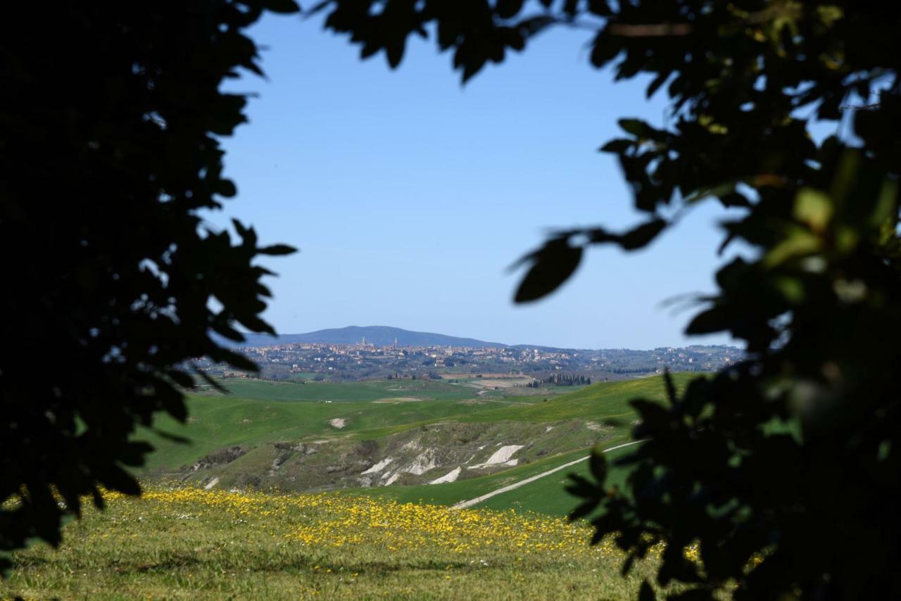 Podere Il Granaio - Crete Senesi - Tuscany Siena Luaran gambar